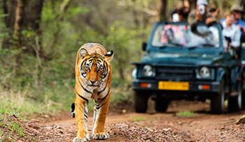 Maa Bhawani Travels Lucknow